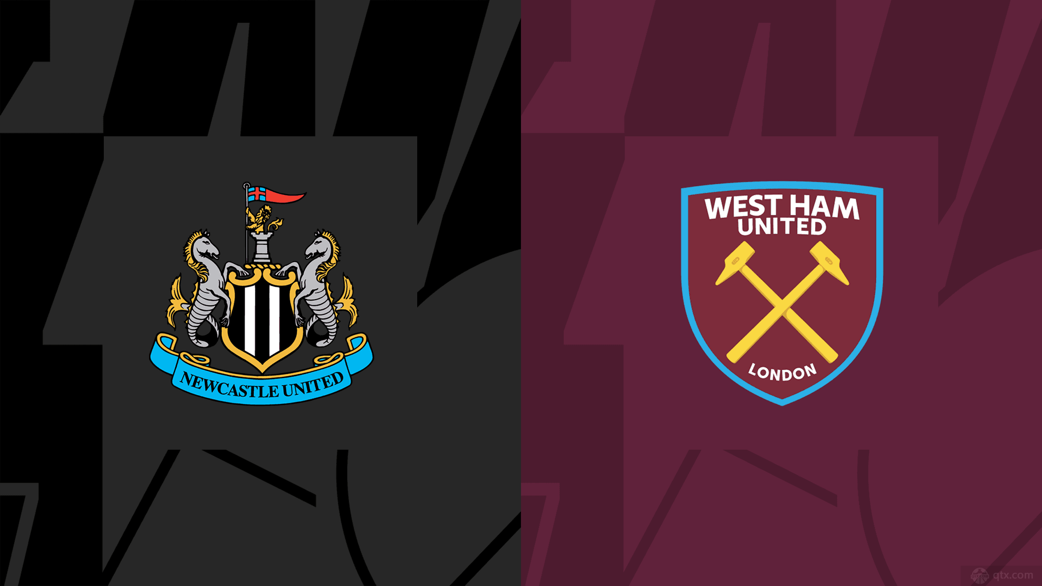 这场表现体 这场表现体